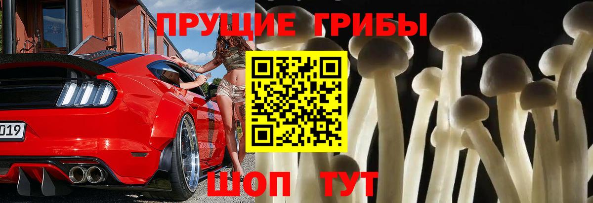 Галлюциногенные грибы Cubensis  Вход с VPN  Узловая 